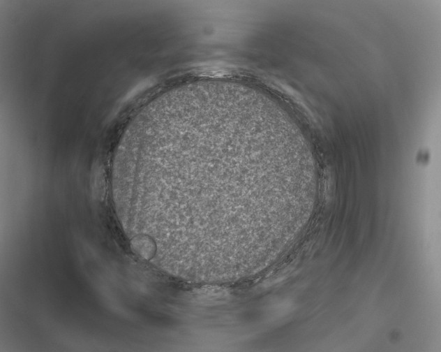 X0000116611446201001081201