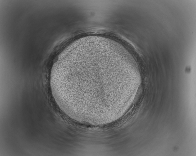 X0000116611447201001081201