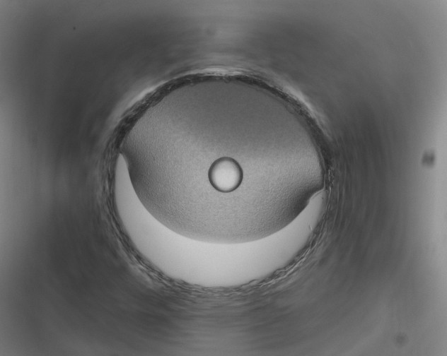 X0000116611448201001081201