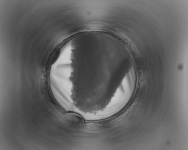 X0000116611449201001081201