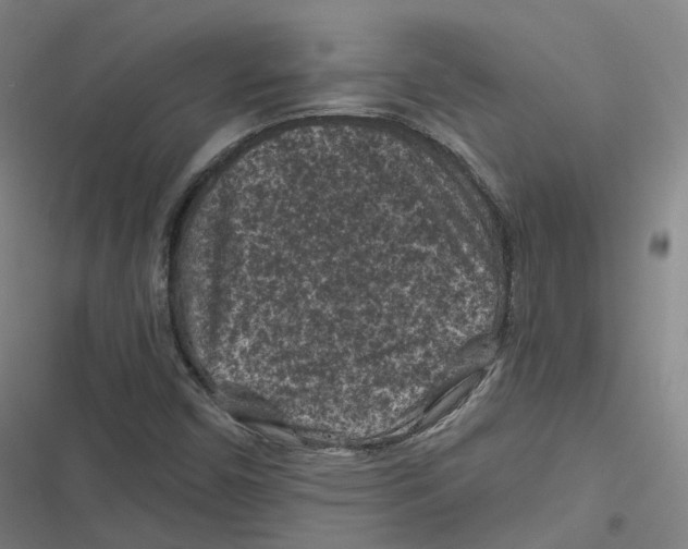 X0000116611450201001081201