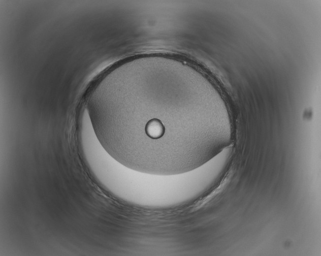 X0000116611453201001081201