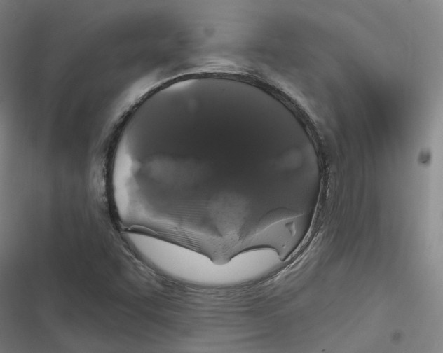 X0000116611455201001081201