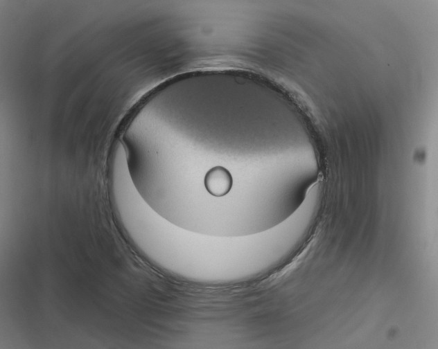 X0000116611457201001081201