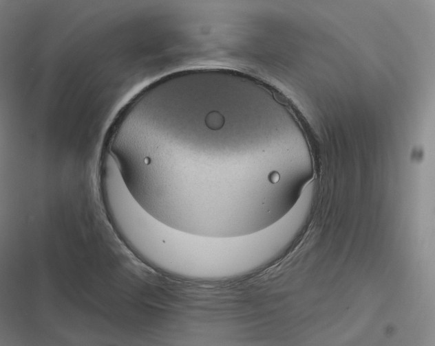 X0000116611460201001081200