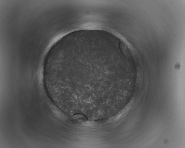 X0000116611461201001081200