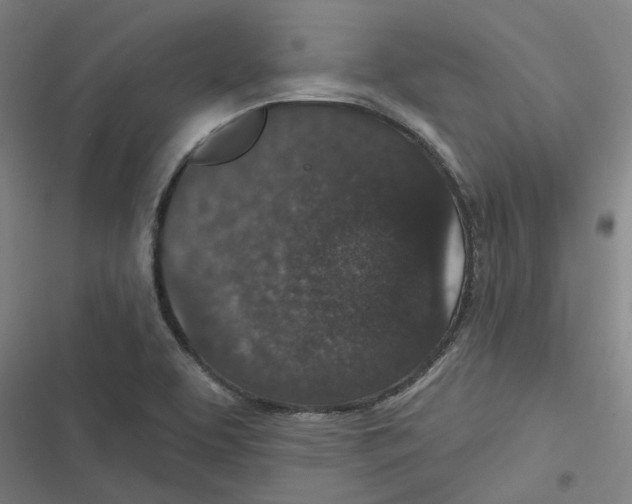 X0000116611463201001081200