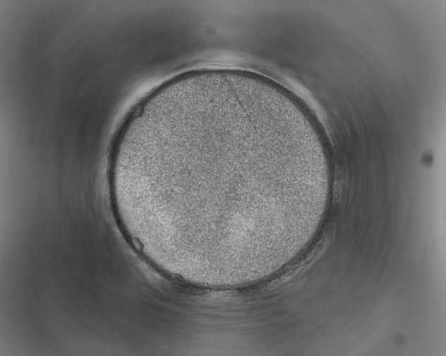 X0000116611464201001081200