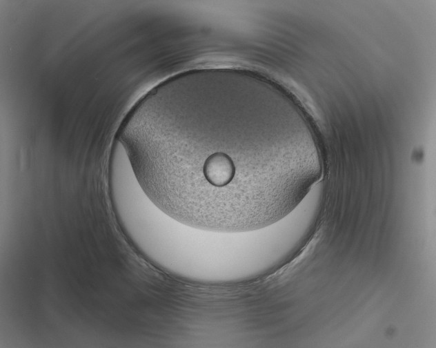 X0000116611465201001081200