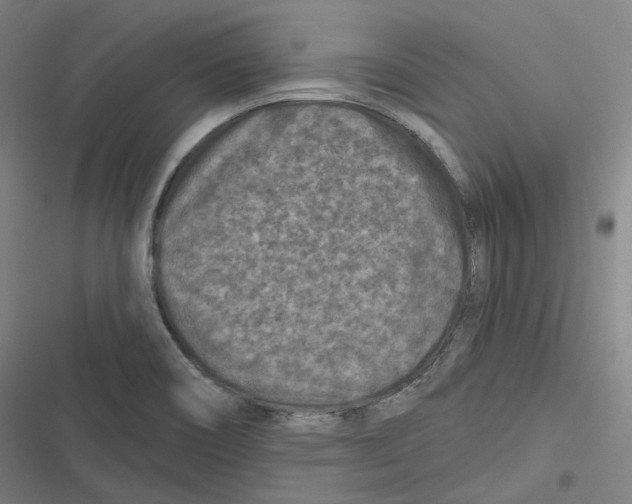 X0000116611466201001081200