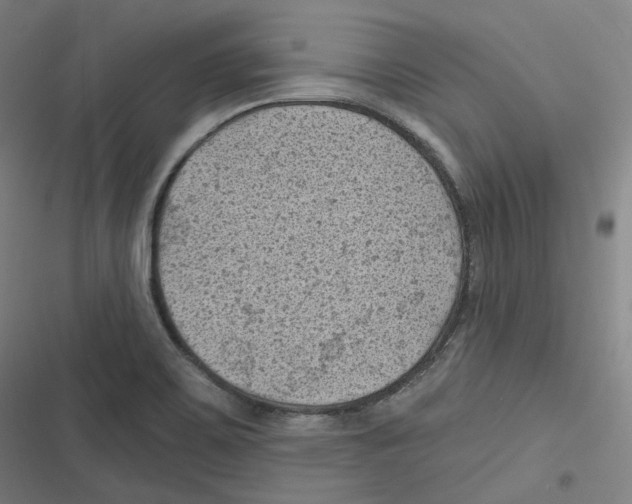 X0000116611467201001081200