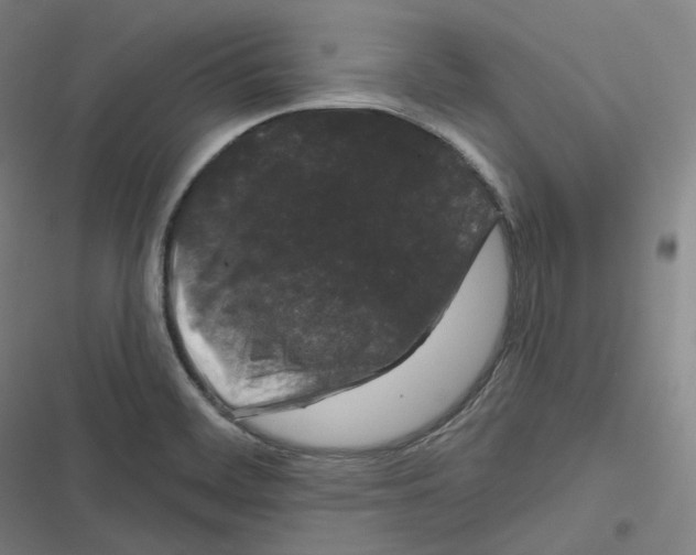 X0000116611468201001081200