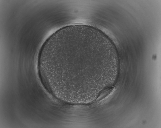 X0000116611469201001081200