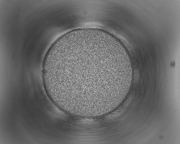 X0000116611470201001081200