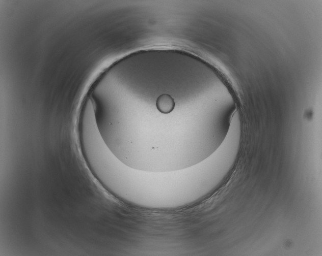 X0000116611472201001081200