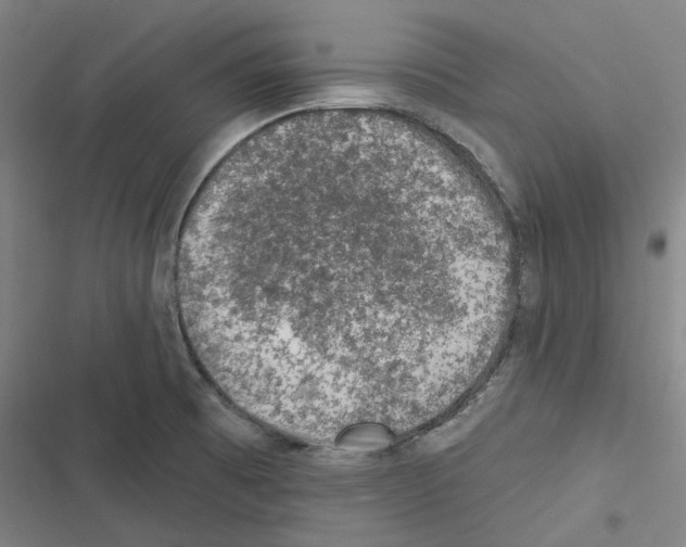 X0000116611473201001081200