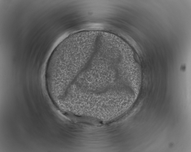 X0000116611475201001081200