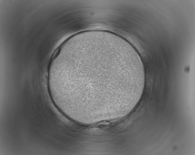 X0000116611476201001081200