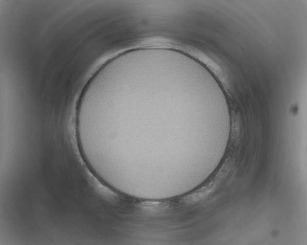 X0000116611478201001081200