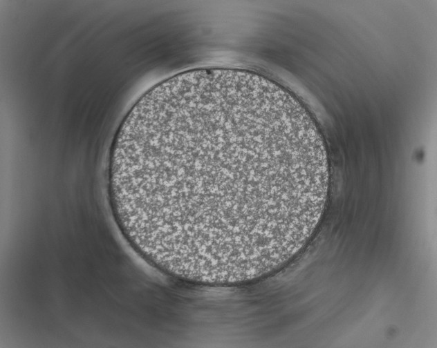 X0000116611479201001081200