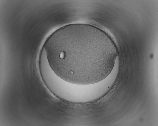 X0000116611480201001081200