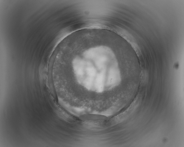 X0000116611481201001081200