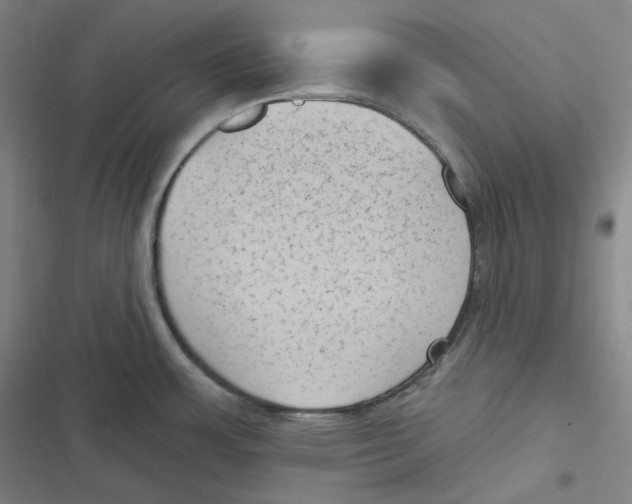 X0000116611483201001081200