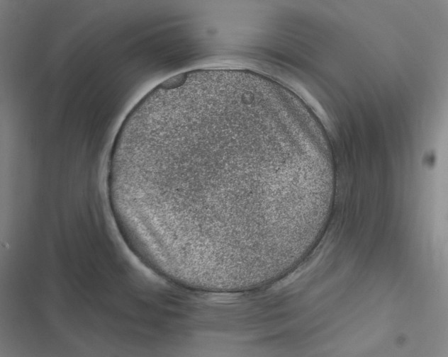 X0000116611484201001081200