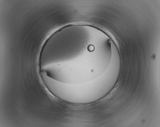 X0000116611485201001081200