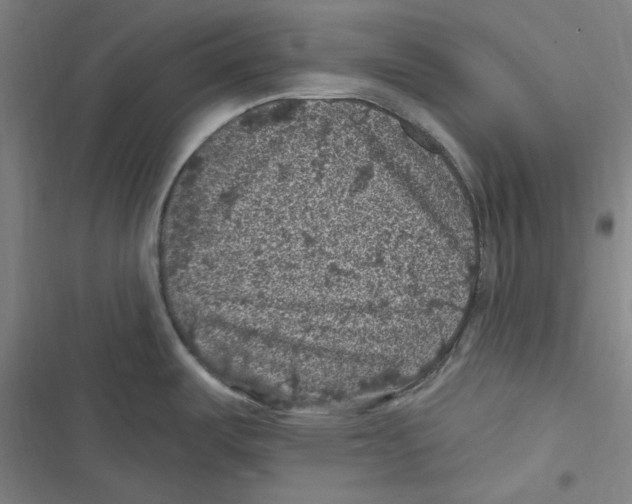 X0000116611487201001081200