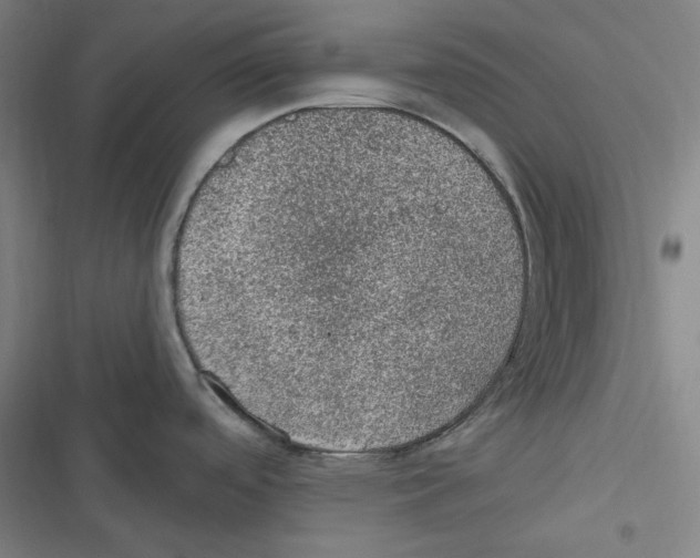 X0000116611488201001081200