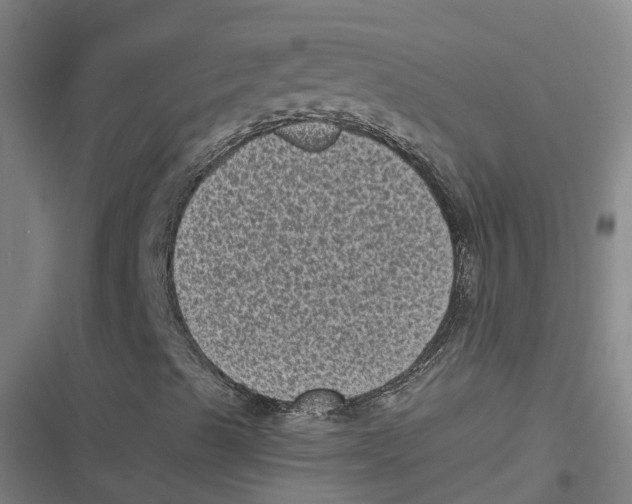 X0000116611489201001081159