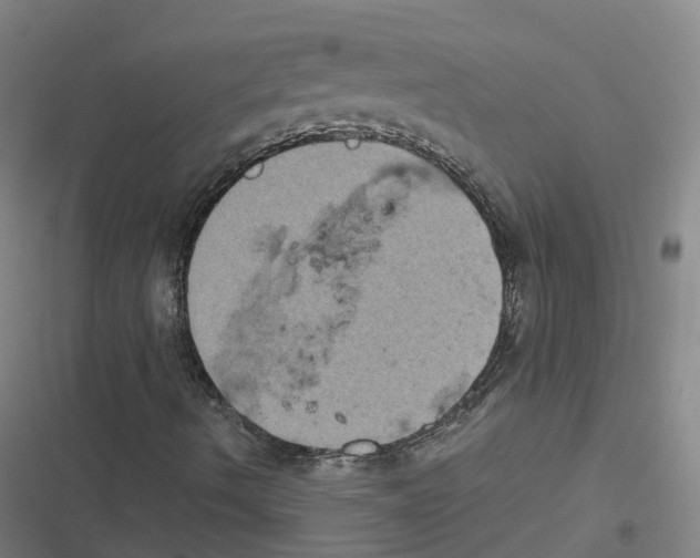 X0000116611490201001081159