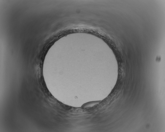 X0000116611493201001081200