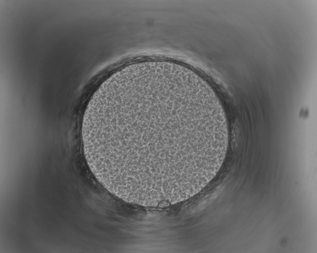 X0000116611494201001081200