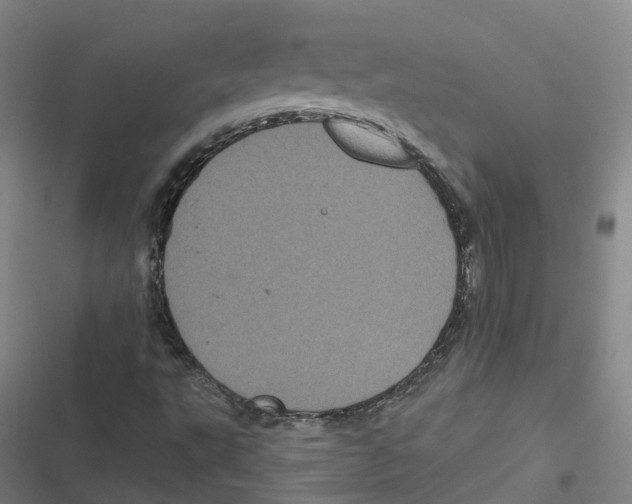 X0000116611495201001081200