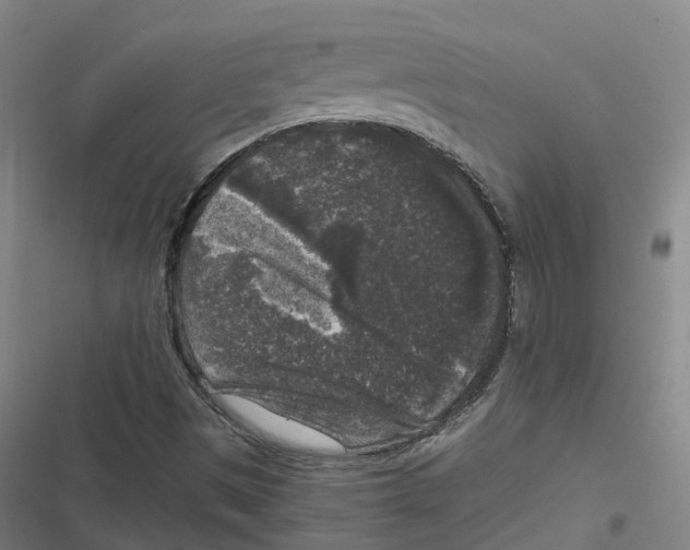 X0000116611497201001081200