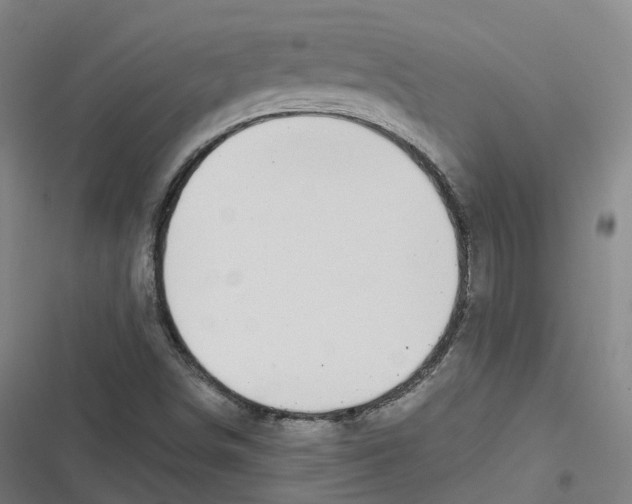 X0000116611498201001081200