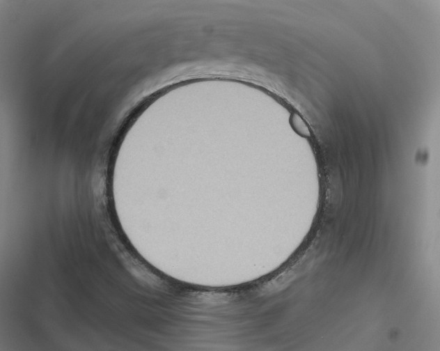 X0000116611499201001081200