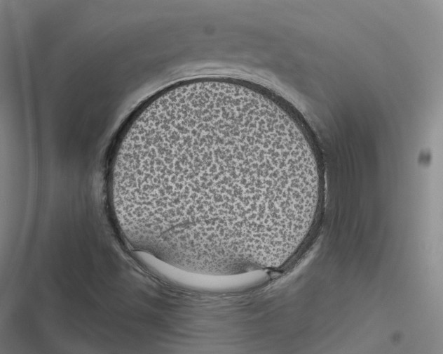 X0000116611501201001081200