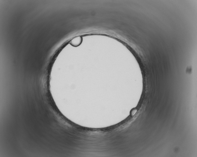 X0000116611502201001081200