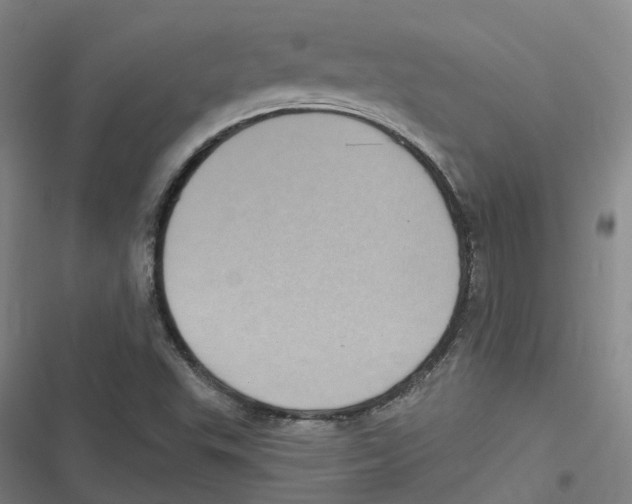 X0000116611503201001081200