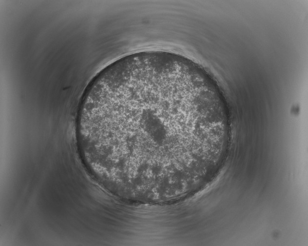 X0000116611505201001081200