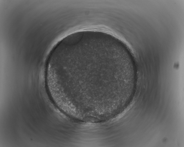 X0000116611506201001081200