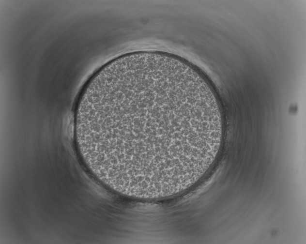 X0000116611509201001081200