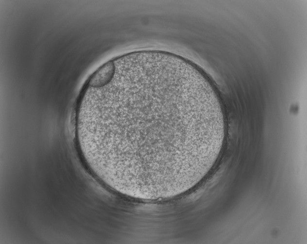 X0000116611510201001081200