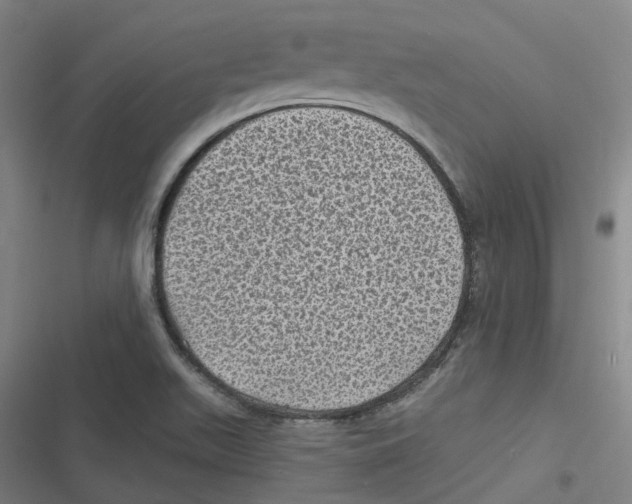 X0000116611511201001081200