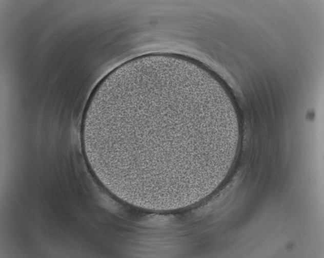 X0000116611513201001081200