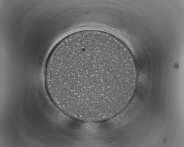 X0000116611514201001081200