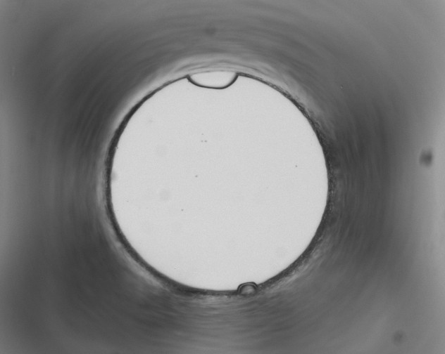 X0000116611518201001081200